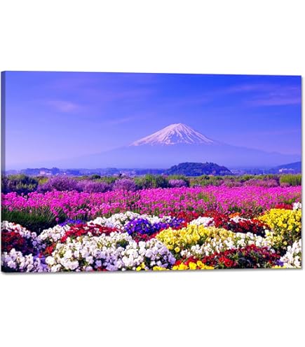 絹谷幸二、「旭日大磐石富士山」、希少画集の額装画、四季、風景、人気作品 Amazon.co.jp: 絹谷幸二、「旭日大磐石富士山」、画集の額装画